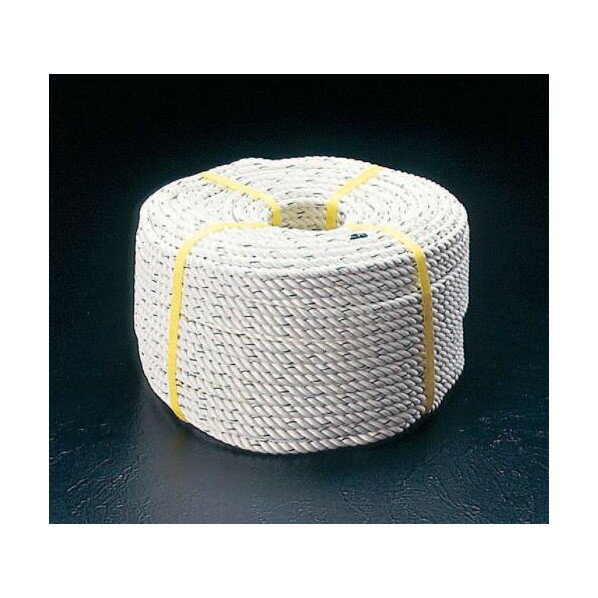 エスコ(esco) クレモナロープ(三つ打ち) 8mm×100m EA628TK-82【2506DFD_3】