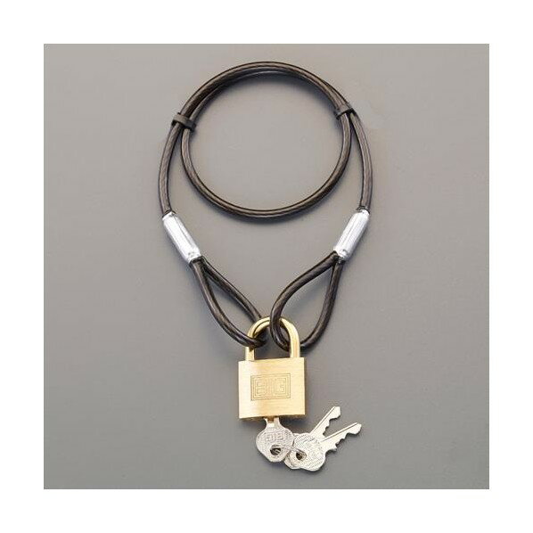 エスコ(esco) φ4.3x1040mm ワイヤーロック(シリンダー錠) EA983TT-42 1セット【2506DFD_3】