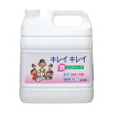 ライオン キレイキレイ泡ハンドソープ4L BPGHA4J
