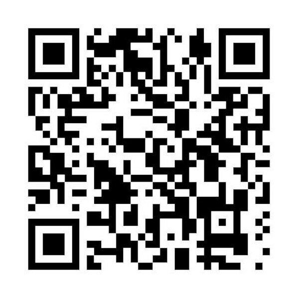 エフ・アール・シー イヤホンマイク(トランシーバー専用) FP-22A 1点