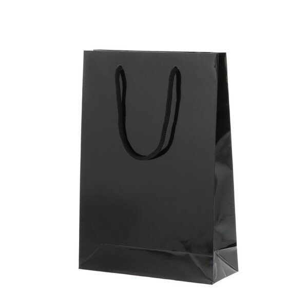 ⥸ 󤲻 ֥饤ȥХå SWT  006138200 1