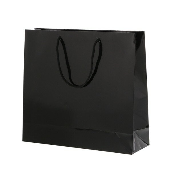※法人専用品※シモジマ 手提げ紙袋 ブライトバッグ GM 黒 10枚 006137900 10枚