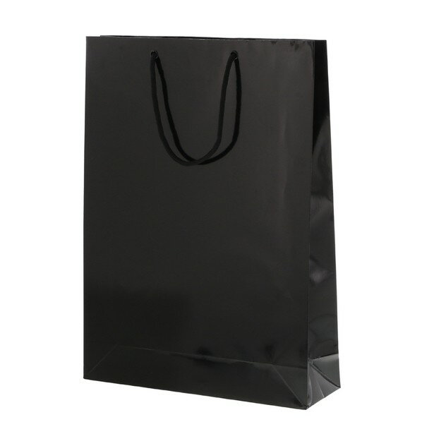 ⥸ 󤲻 ֥饤ȥХå G2  10 006138000 10