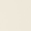 サンゲツ 浴室パネルリアテック単色 W910mm×H2,430mm×T3.2mm TB-4701 1枚