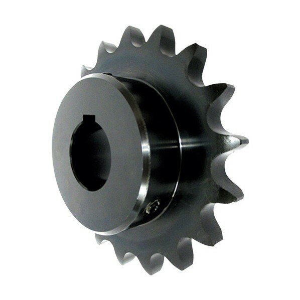 片山チエン FBN 100B20(H) D45 BK (クロゾメ) FBN100B20D45BK 1点