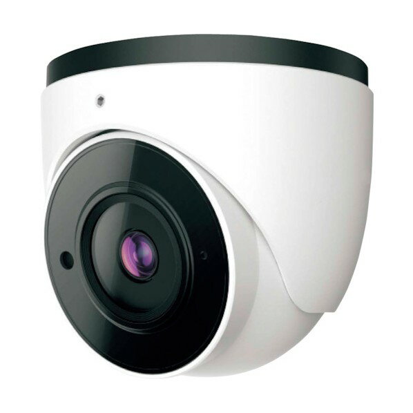 マザーツール 4メガピクセル防水ドーム型IPカメラ IP-WD11 1点