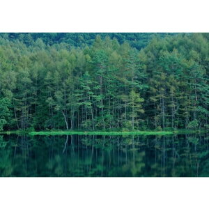 サンゲツ デジタルプリント壁紙 リザーブ(HIGH GRAFICA)風景写真 奥蓼科 御射鹿池 Mサイズ(3巾) W2700mm×H1875mm HZ-7044M 1セット
