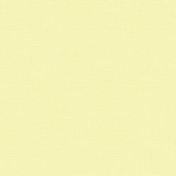 トキワ工業 壁紙 PINEBULL 汚れ防止+消臭 DIC Color story パウダーパフ 巾92cm×1m オレンジ TWP9583 1巻