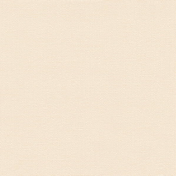 トキワ工業 壁紙 PINEBULL 酵素パワー消臭 巾92cm×1m TWP9589 1巻