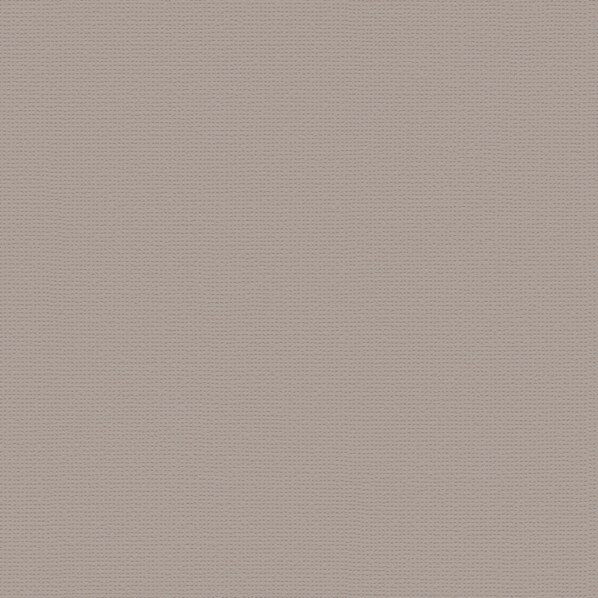 トキワ工業 壁紙 PINEBULL 酵素パワー消臭 巾92cm×1m TWP9596 1巻