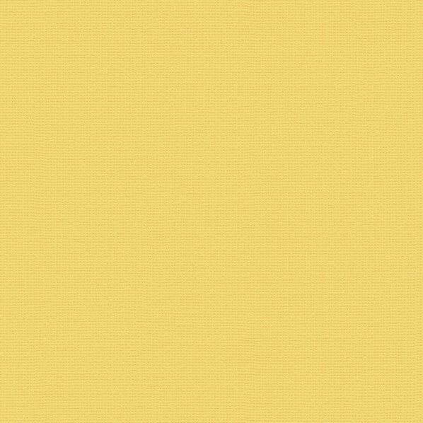 トキワ工業 壁紙 PINEBULL 酵素パワー消臭 巾92cm×1m イエロー TWP9601 1巻