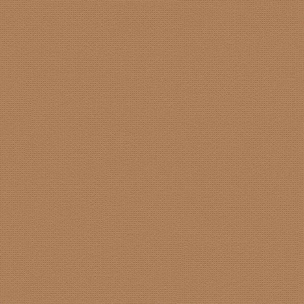 トキワ工業 壁紙 PINEBULL 酵素パワー消臭 DIC Color story カフ ェ ・オ・ レ 巾92cm×1m ブラウン TWP..