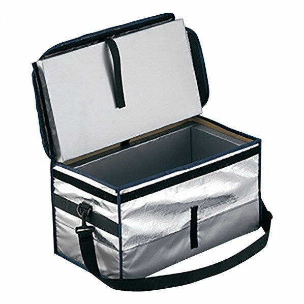 アズワン 折りたたみ式クーラーボックス 真空断熱材入 20L 3-6273-02 1個