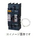 パナソニック 単3中性線欠相保護付サーキットブレーカ BCWN型 BCWN-125型 3P3E 125A BCWN3125 1台(4)