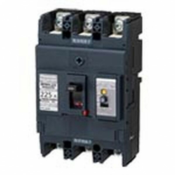 パナソニック 盤用 漏電ブレーカ BKWA型 BKWA-250型 3P3E 250A 100/200/500mA 16.5×10.5×9.5cm BKWA32509 1台