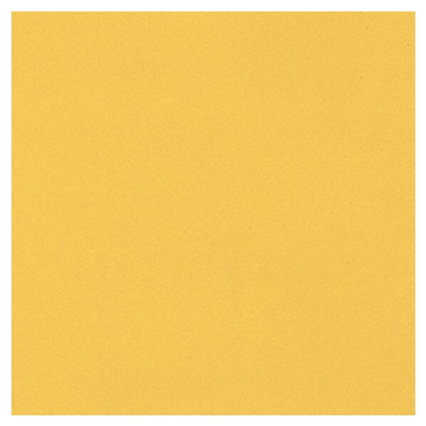 シンコール タフプレーンノンワックス2.0 2.0mm厚/182cm巾 TPV536C 1m