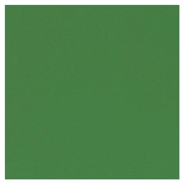 シンコール タフプレーン2.0 2.0mm厚/182cm巾 TPV539 1m