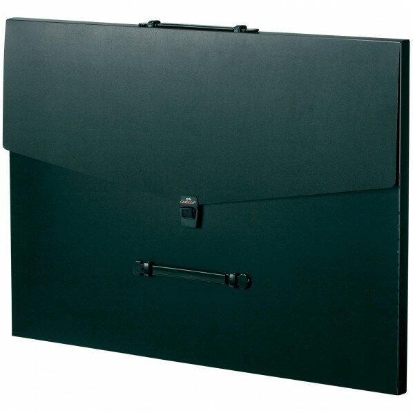 セキセイ アルタートケースフラットタイプ ブラック ART-1003-60 0