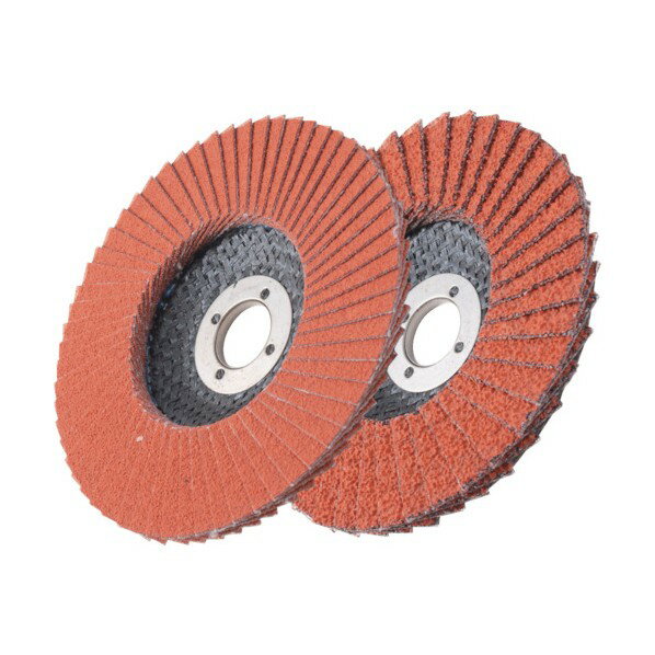 イチグチ AC スーパーセラミックディスク 100X15（16） ＃80 65 x 30 x 30 mm 1点 x 10点