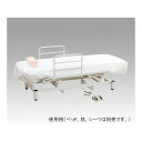 アズワン ローポジション電動診察台(サイドレール付き)用 サイドレール(左右兼用) 7-1082-11(4)