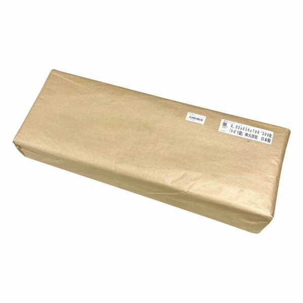 アズワン ポリ袋 650×700mm(ポリバケツ用)中 6-629-25