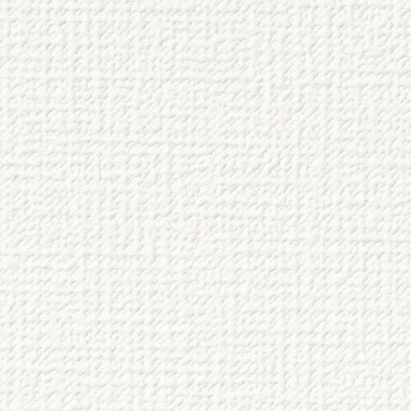 壁紙 ファイン 天井 巾92cm×1m乱 FE76491 1巻