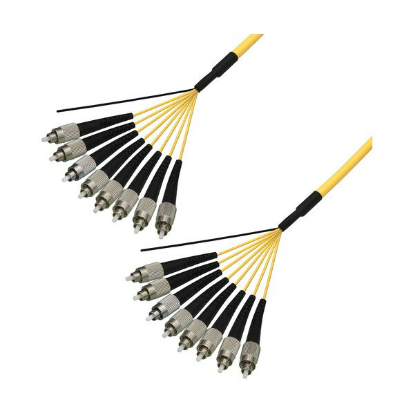 特徴 ■特徴 両端FCコネクタのシングルモード光ケーブル 2000mまで製作可能 ■仕様 モード:シングルモード コネクタ:両端FC 用途:屋内用(補強) 芯数:8 ケーブル長:4m 仕様 入数 1本 原産国 日本製 DFCSMFCFCRM...