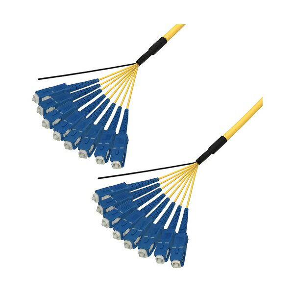 シングルモード光ファイバーケーブル（SC-SC）8芯＜屋内用（補強）＞10m DFC-SMSCSC-RMT81(10M) 1本