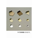 新光電子 :板状分銅 OIML型(非磁性ステンレス) 100MG F2級 F2PSO-100M 1点