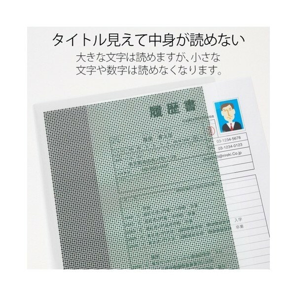 プラス 仕切付カモフラージュホルダー FL-131CH 白 89585 FL-131CH WH 1点