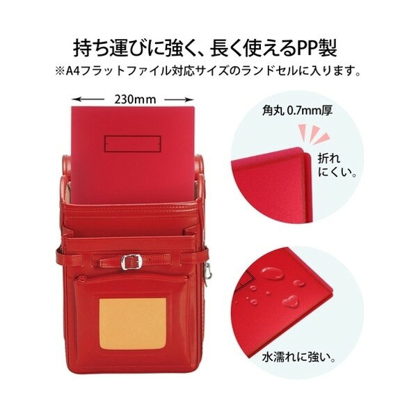プラス 年組氏名 パンチレスファイル レッド 79763 FL-194SF RD 1点