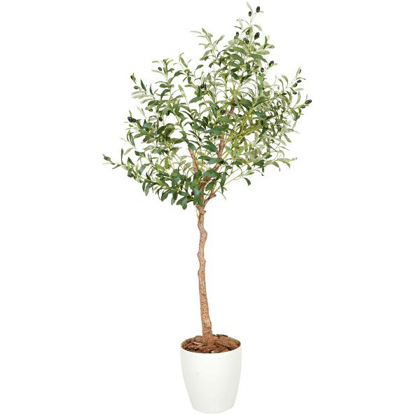 光触媒インテリアグリーン オリーブ150cm鉢付き 6300069602 1本