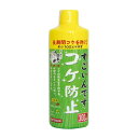 寿工芸 すごいんです コケ防止300ml 1個