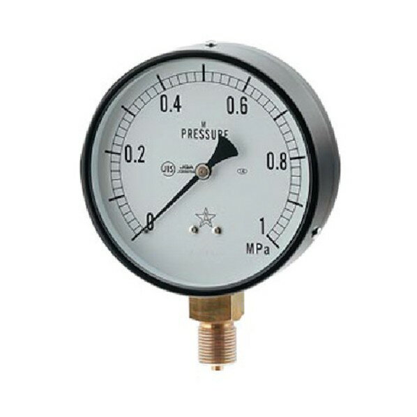 カクダイ 蒸気用圧力計(一般用・Aタイプ) 649-873-05C 1点