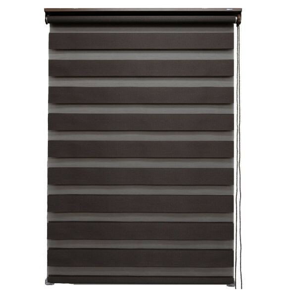 トーソー 【調光ロールスクリーン】センシア 幅60cm×高さ150cm チョコレート 30000009 1台