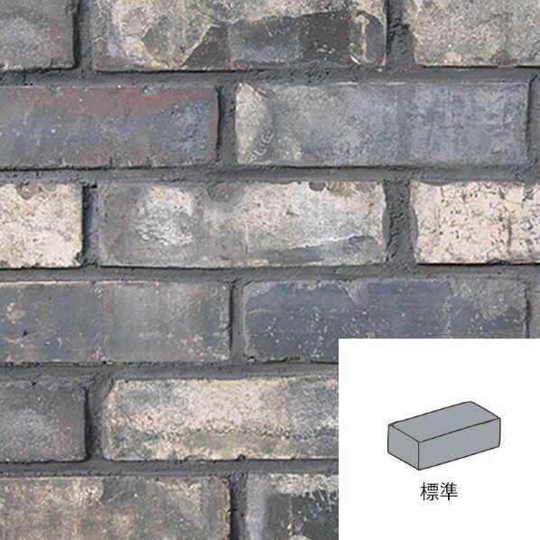 オンリーワンクラブ KIWAMI シオン AJ2-E082 1個