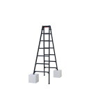 ※法人専用品※長谷川工業 脚部伸縮兼用脚立(BLACK LABEL) 7段 RYZB-21a 1台