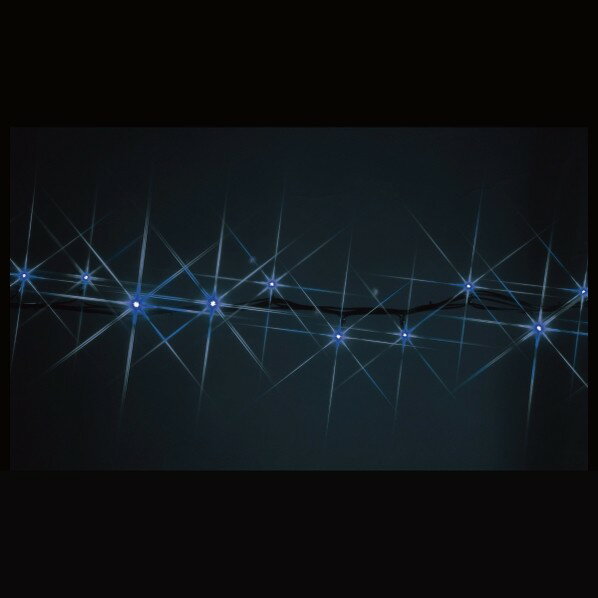 ǥ󥵥 LEDȥNH(˥塼ϥ졼ɥ) SJ-NH05-25BB 1