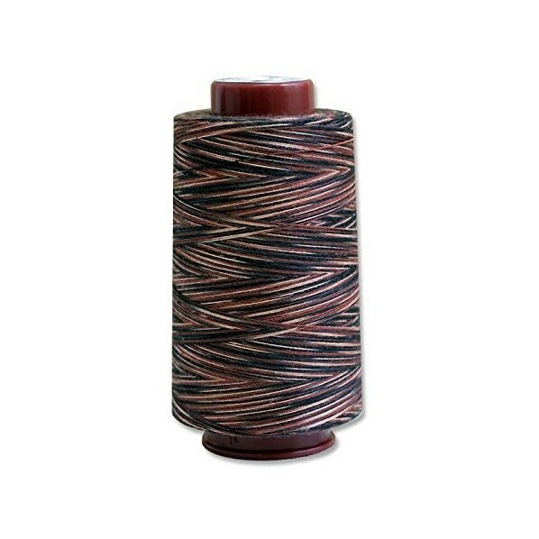 FUJIX フジックス キングカラーズスパンミシン糸 段染めミシン糸 1000m/巻 FK4846-5 1本