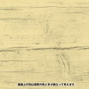 カンペハピオ ウッドシーラー 木部専用 油性シーラー 122×62×136 とうめい 0082764...