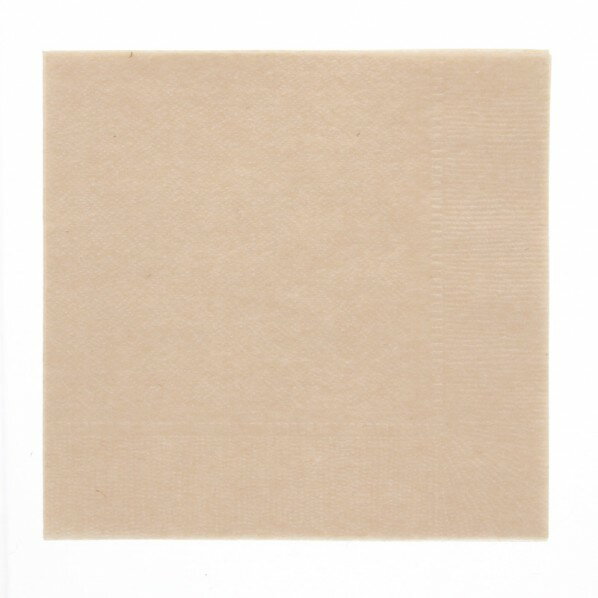 イデシギョー 紙ナプキン 四折 ポリ入 未晒 約248×248mm 004711568 125枚