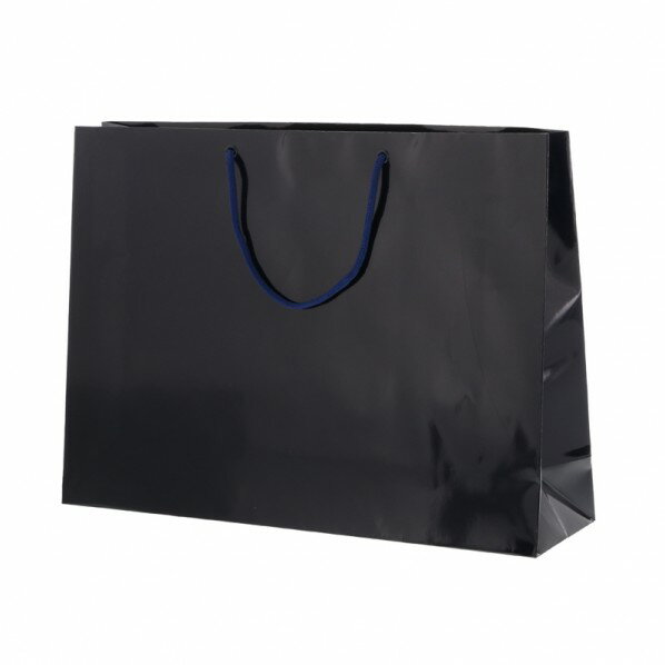 シモジマ 手提げ紙袋 ブライトバッグ Y2 紫紺 10枚 006138103 10枚