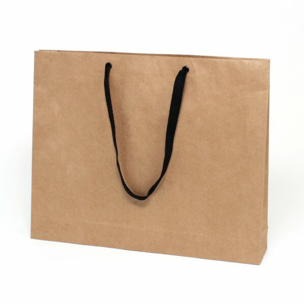 シモジマ 手提げ紙袋 ファッションバッグ L 未晒無地 10枚 006470610 10枚