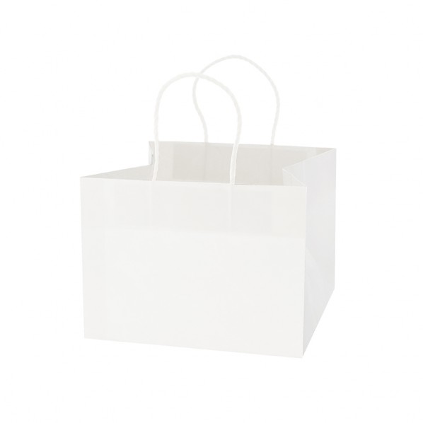シモジマ 手提げ紙袋 Pスムースバッグ 白無地 27-27 003155350 25枚