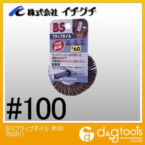 イチグチ BSフラップホイル #100 50081