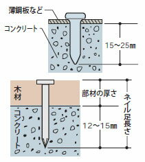 �ޥå��� �ץ饷����Ϣ��ţ ���󥯥꡼���Ѿ����ԥ� CP-C840W8 50�ܡ�20����2Ȣ