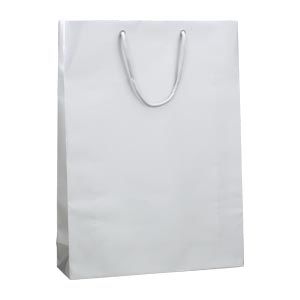 シモジマ ブライトバック G2 ギン 006138004