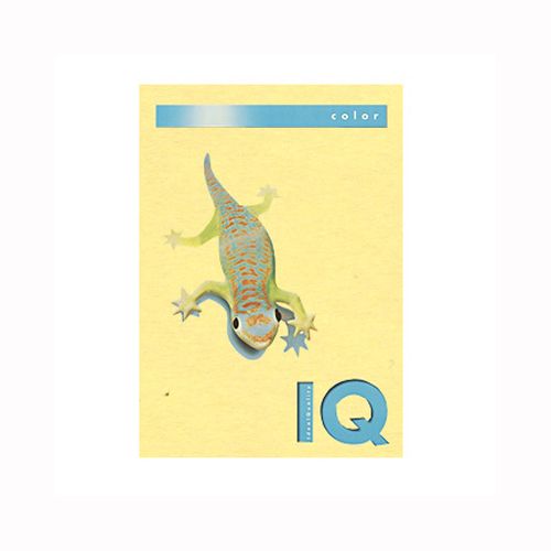 伊東屋 バイオトップカラーA4(250枚入) イエロー BT703