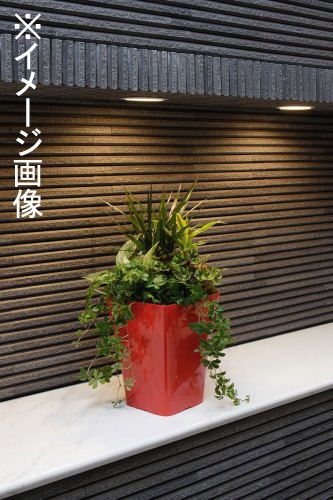 ���åץ륦������ ���饷���ݥå�245��10L 245x245x310mm �ۥ磻�� 1