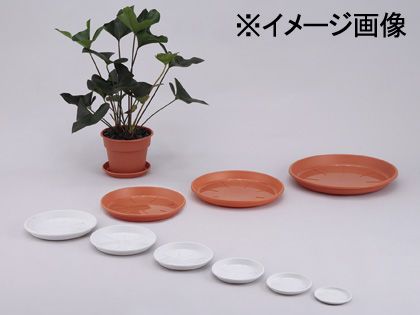 アップルウェアー 浅皿AP5号 150φ×18mm ミカゲ 1